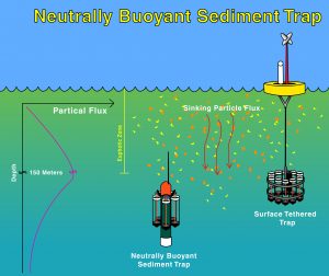 sediment trap