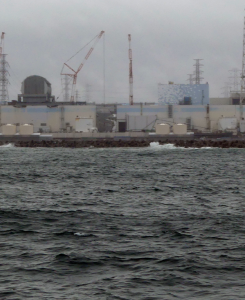 Fukushima Radionuclides